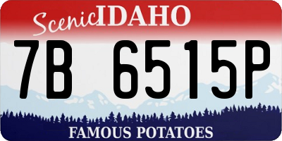 ID license plate 7B6515P