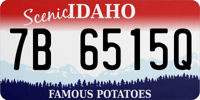 ID license plate 7B6515Q