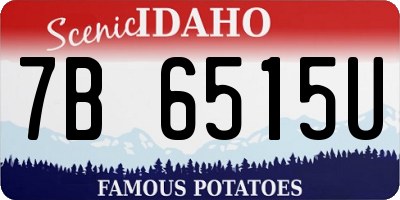 ID license plate 7B6515U