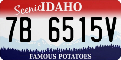 ID license plate 7B6515V