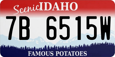 ID license plate 7B6515W