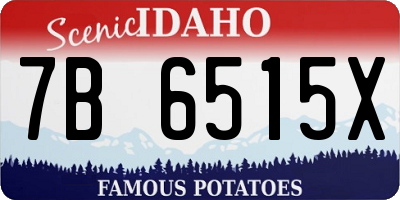 ID license plate 7B6515X