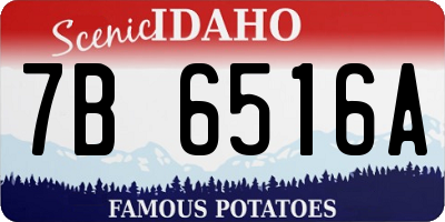 ID license plate 7B6516A