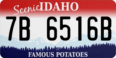 ID license plate 7B6516B