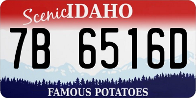 ID license plate 7B6516D