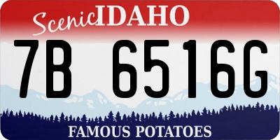 ID license plate 7B6516G