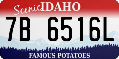 ID license plate 7B6516L