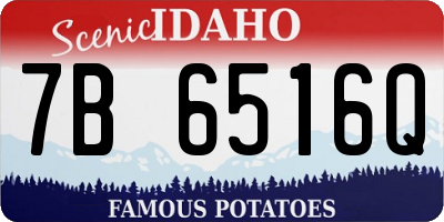 ID license plate 7B6516Q