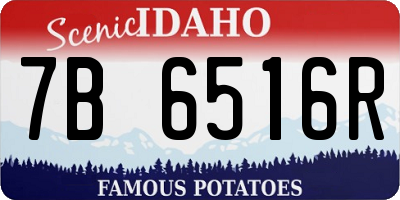ID license plate 7B6516R