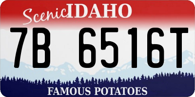ID license plate 7B6516T