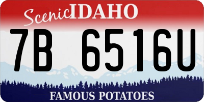 ID license plate 7B6516U