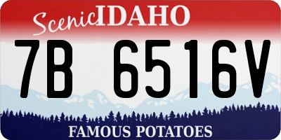 ID license plate 7B6516V