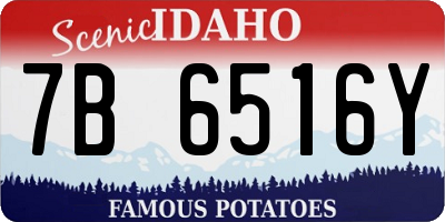 ID license plate 7B6516Y