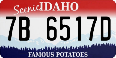 ID license plate 7B6517D