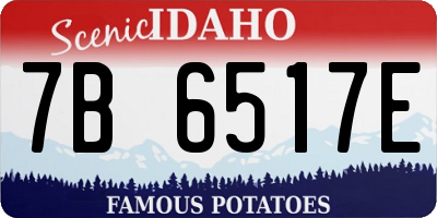 ID license plate 7B6517E