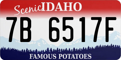 ID license plate 7B6517F