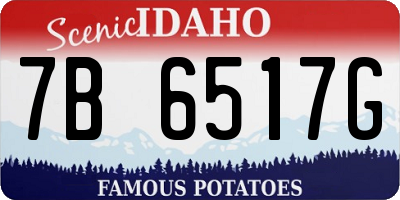 ID license plate 7B6517G