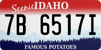 ID license plate 7B6517I