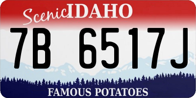 ID license plate 7B6517J