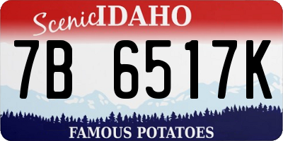 ID license plate 7B6517K