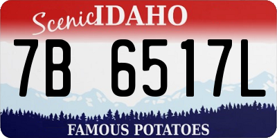 ID license plate 7B6517L