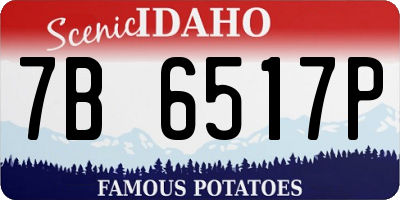 ID license plate 7B6517P