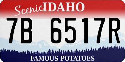 ID license plate 7B6517R