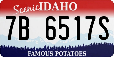 ID license plate 7B6517S