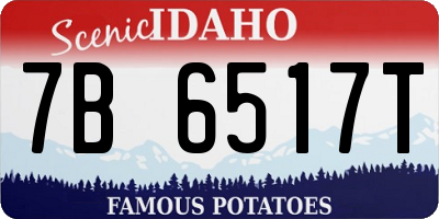 ID license plate 7B6517T