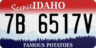 ID license plate 7B6517V