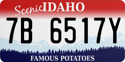 ID license plate 7B6517Y