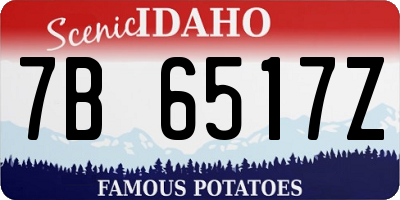 ID license plate 7B6517Z