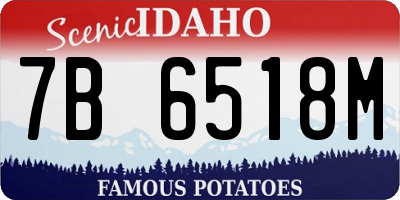 ID license plate 7B6518M