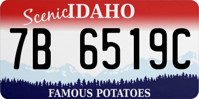 ID license plate 7B6519C