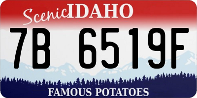 ID license plate 7B6519F
