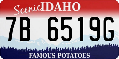 ID license plate 7B6519G