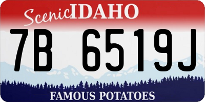 ID license plate 7B6519J
