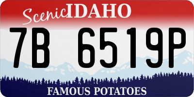 ID license plate 7B6519P