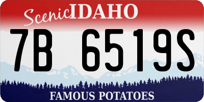 ID license plate 7B6519S