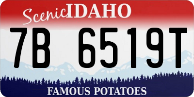 ID license plate 7B6519T