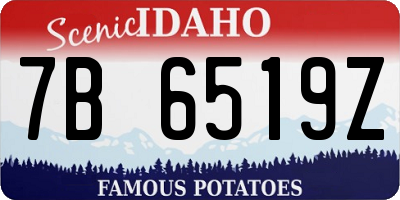 ID license plate 7B6519Z