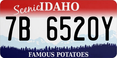 ID license plate 7B6520Y
