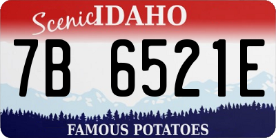 ID license plate 7B6521E