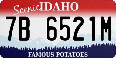 ID license plate 7B6521M