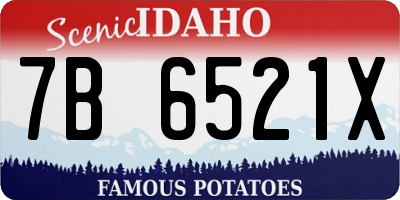 ID license plate 7B6521X