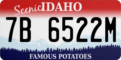 ID license plate 7B6522M