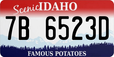 ID license plate 7B6523D