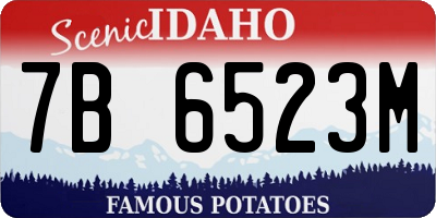 ID license plate 7B6523M