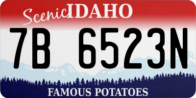 ID license plate 7B6523N