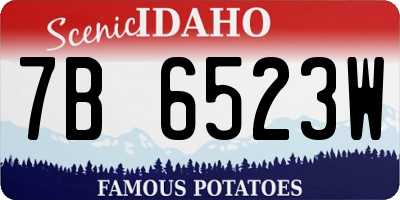 ID license plate 7B6523W
